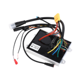 Elektronik VX4_2 (CH)
